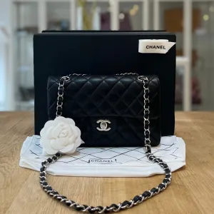 Chanel Double Flap Small
