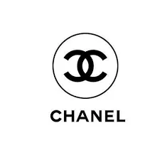 CHANEL PYTHON REISSUE 2.55 JUMBO FLAP BAG