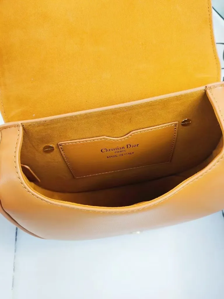 Luxury Handbags Christian Dior 227
