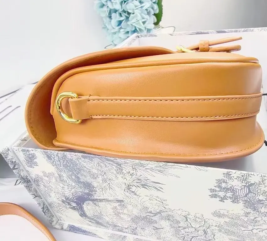 Luxury Handbags Christian Dior 227
