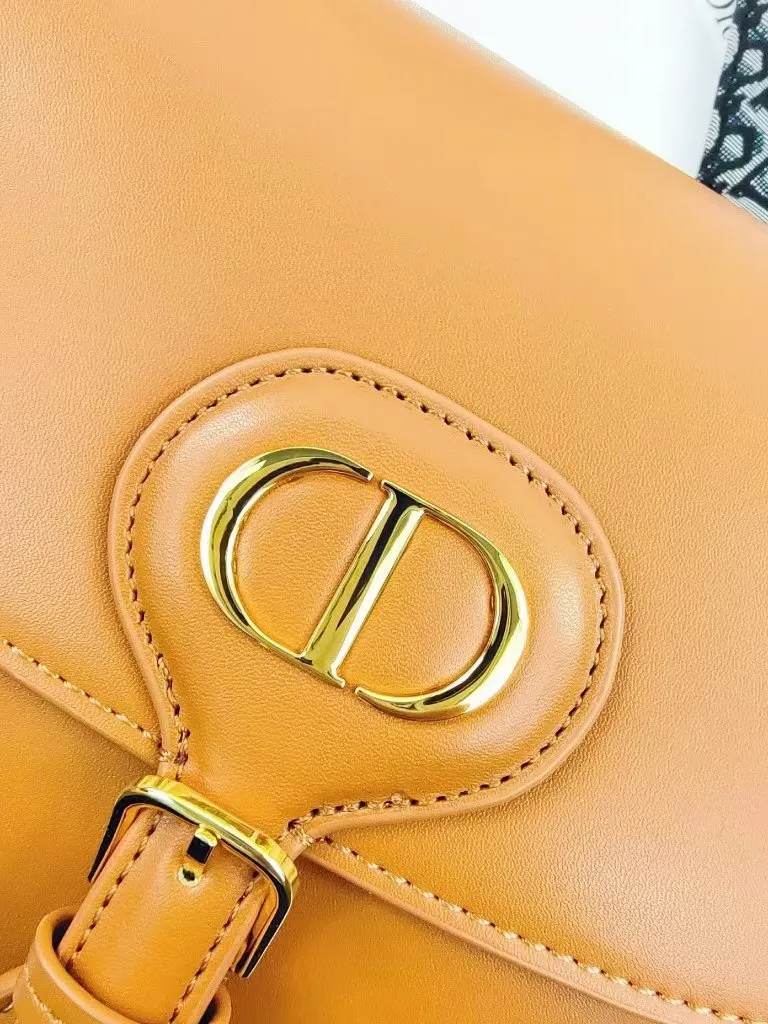 Luxury Handbags Christian Dior 227