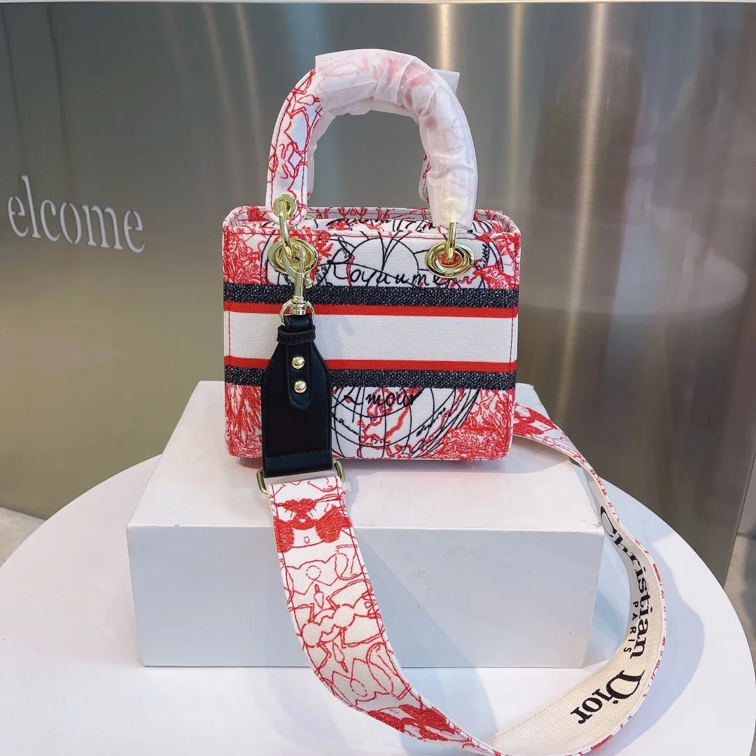 Luxury Handbags Christian Dior 308