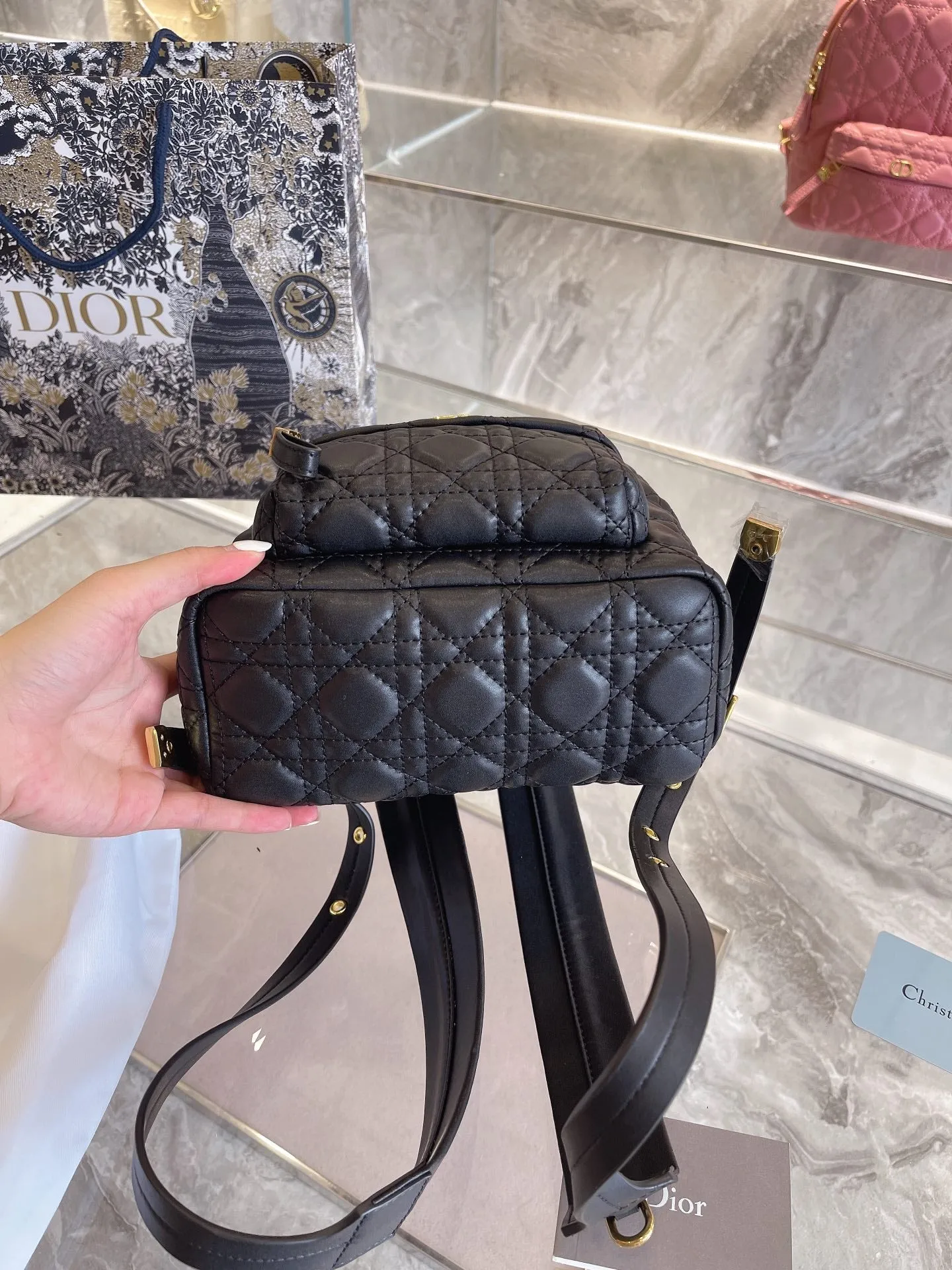Luxury Handbags Christian Dior 327