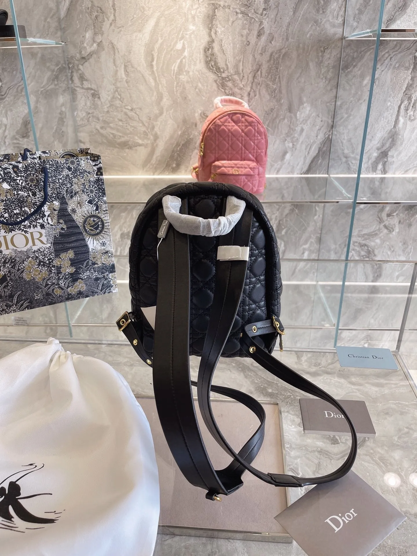 Luxury Handbags Christian Dior 327