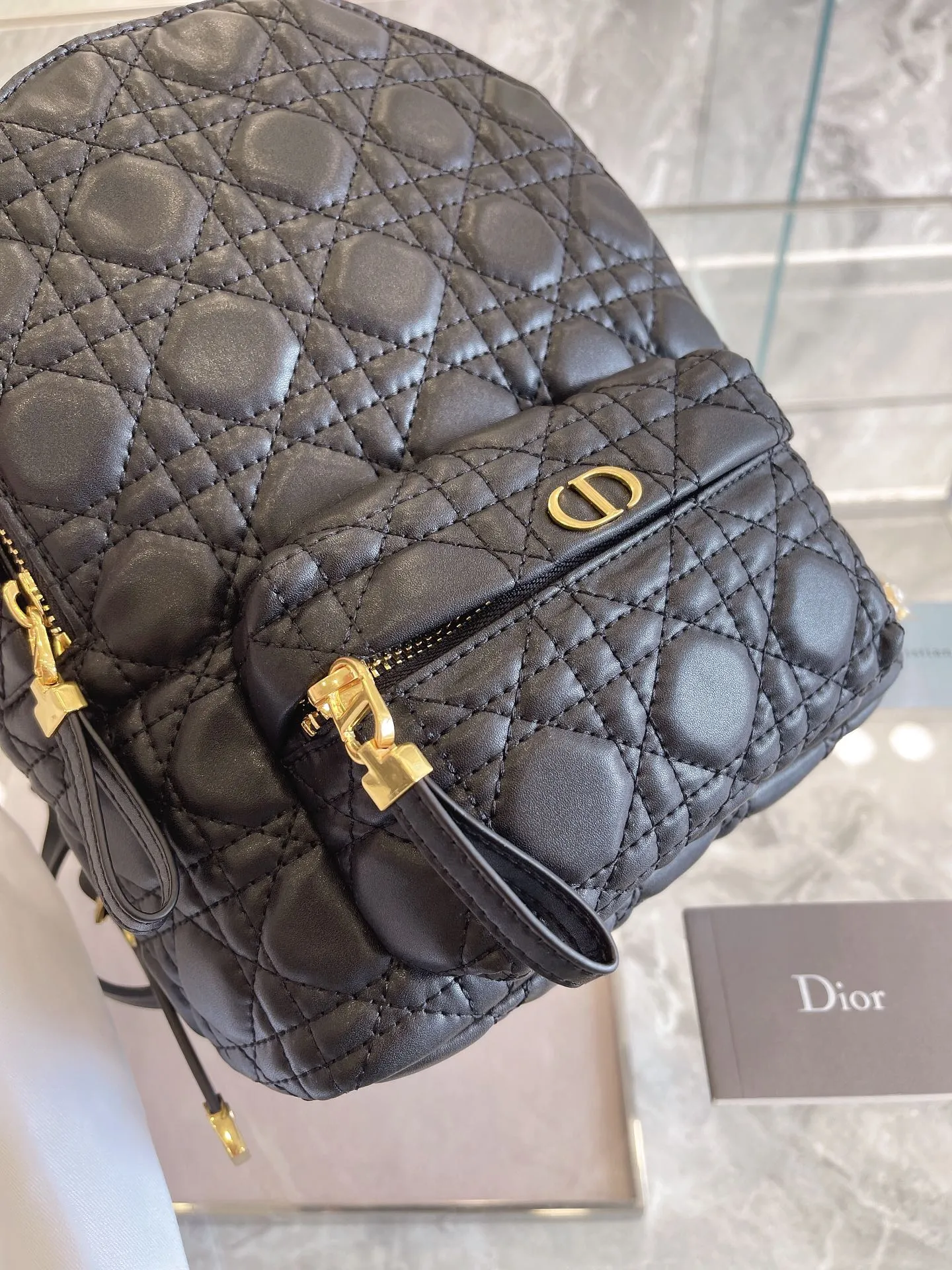 Luxury Handbags Christian Dior 327