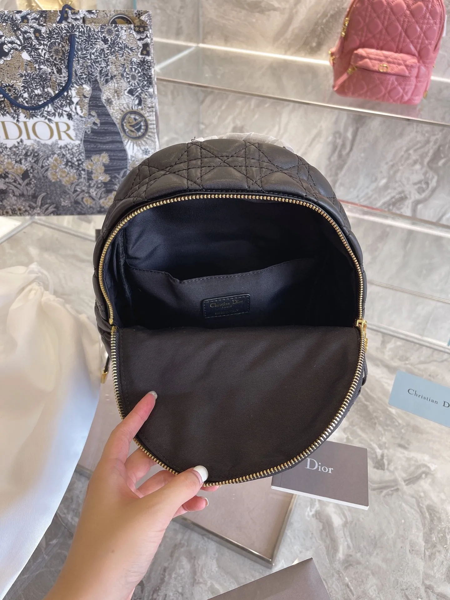 Luxury Handbags Christian Dior 327