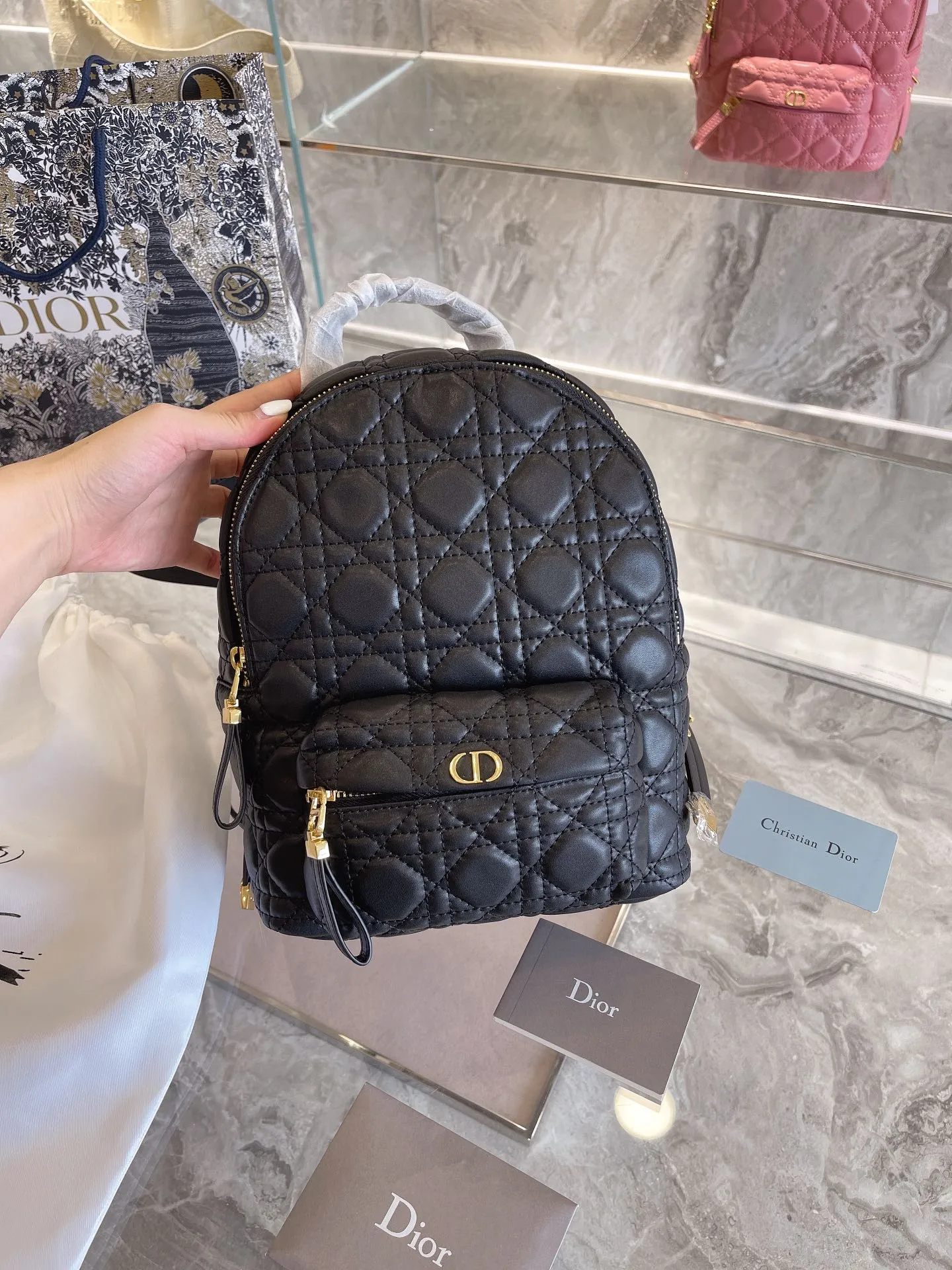 Luxury Handbags Christian Dior 327