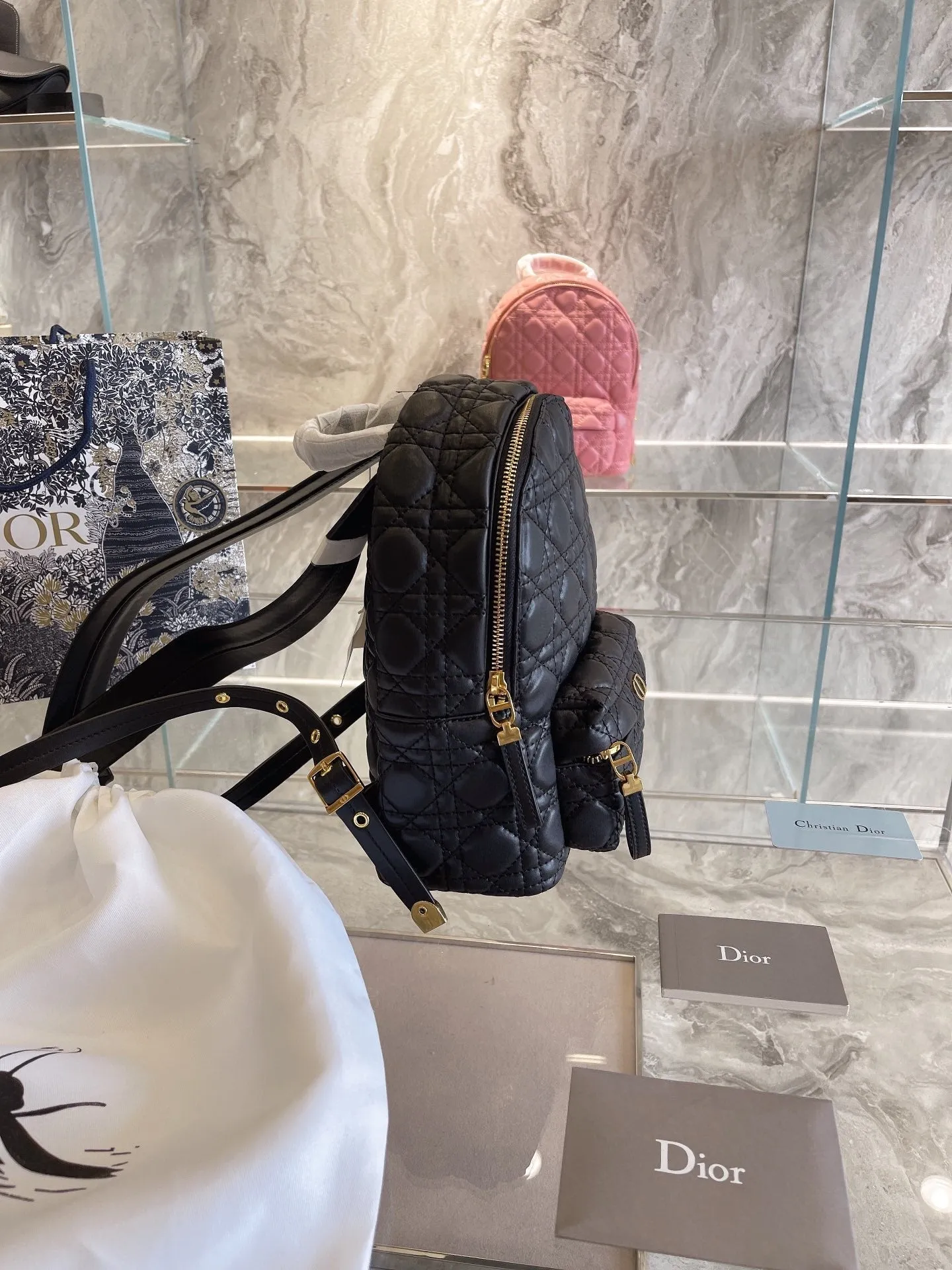 Luxury Handbags Christian Dior 327