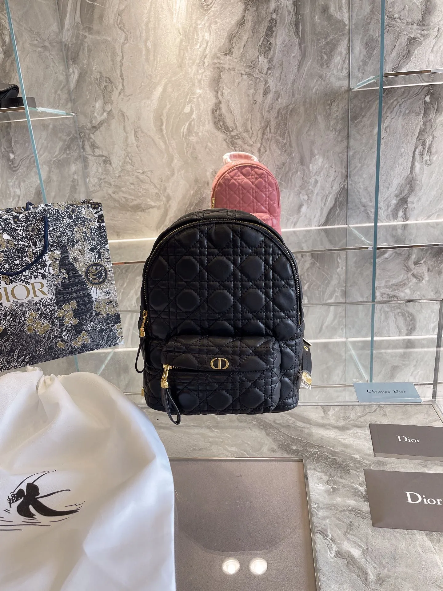 Luxury Handbags Christian Dior 327